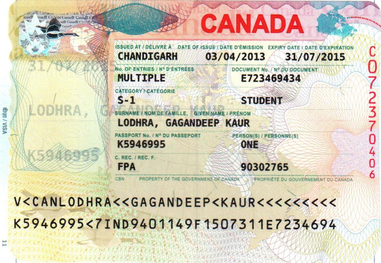 The_Tree_Academy_Du_Học_Canada_ Quy trình xin thị thực du học Canada